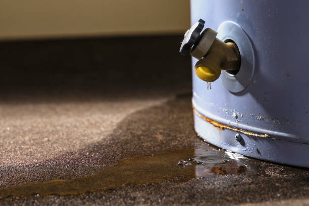 Best Fire Damage Restoration  in Cameron, MO