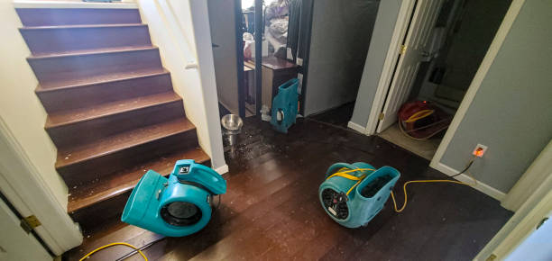 Best Fire Damage Restoration  in Cameron, MO