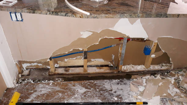 Best Mold removal after water damage  in Cameron, MO