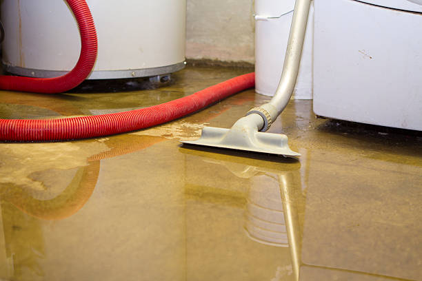 Best Ceiling water damage repair  in Cameron, MO